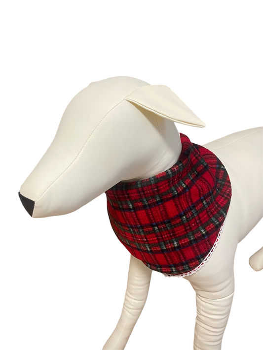 dog bandanas on a dog during holidays